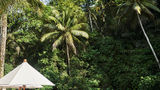 Four Seasons Resort Bali at Sayan Pool