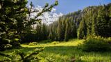 <b>Snowpine Lodge Recreation</b>. Images powered by <a href="https://www.leonardoworldwide.com/" title="Leonardo Worldwide" target="_blank">Leonardo</a>.