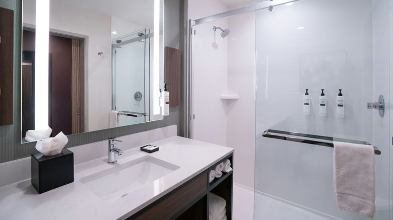 <b>Hilton Garden Inn Hoover Birmingham Room</b>. Images powered by <a href="https://www.leonardoworldwide.com/" title="Leonardo Worldwide" target="_blank">Leonardo</a>.