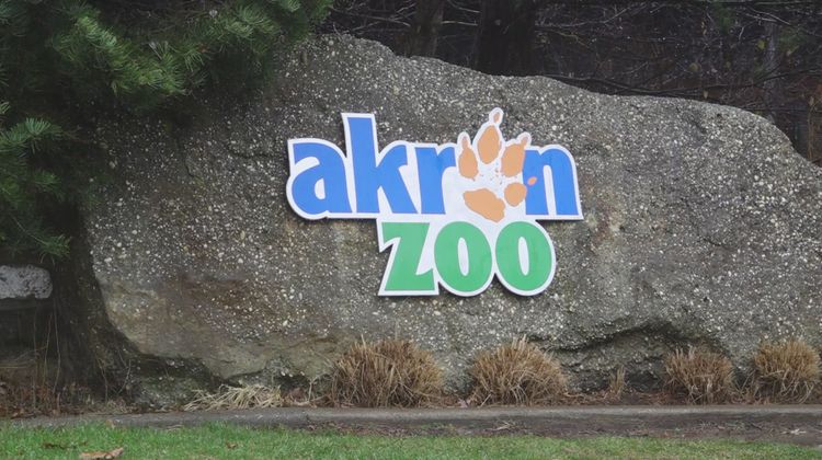 Holiday Inn Express/Stes Akron Reg Arpt Other