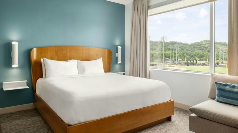 <b>Element Cartersville Room</b>. Images powered by <a href="https://www.leonardoworldwide.com/" title="Leonardo Worldwide" target="_blank">Leonardo</a>.