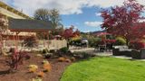 The Lodge at Roseburg Other