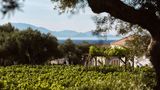 Lesante Cape Resort & Villas Other