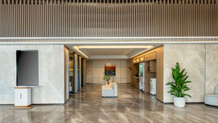 Holiday Inn Exp Lize Business