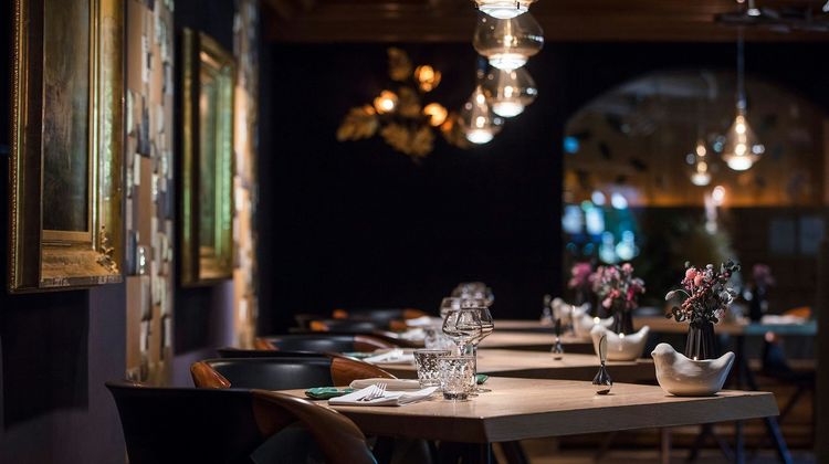 Hostellerie la Cheneaudiere Restaurant