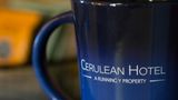 Cerulean Hotel Room