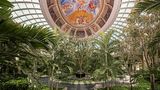 <b>JOIA Paraiso by Iberostar Lobby</b>. Images powered by <a href="https://www.leonardoworldwide.com/" title="Leonardo Worldwide" target="_blank">Leonardo</a>.