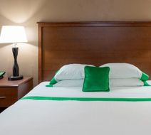 Med City Inn & suites Room