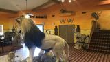 Kings Inn Lobby