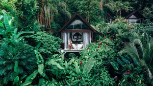 Oxygen Jungle Villas Resort