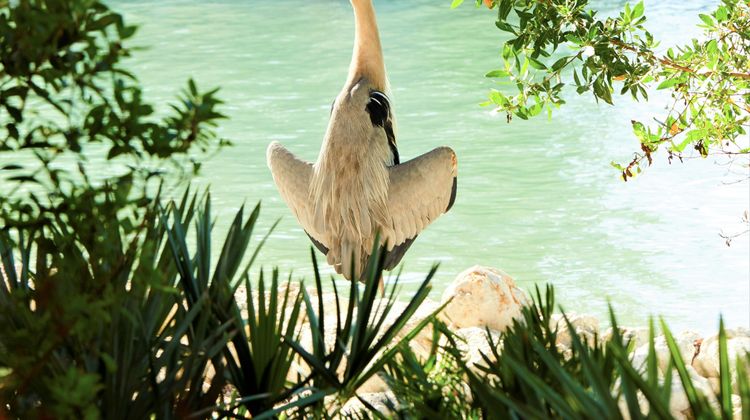 Little Palm Island Resort & Spa Beach