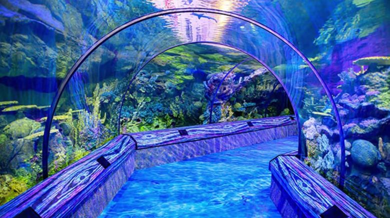 <b>EVEN Hotel Orlando Universal Blvd Other</b>. Images powered by <a href="https://www.leonardoworldwide.com/" title="Leonardo Worldwide" target="_blank">Leonardo</a>.