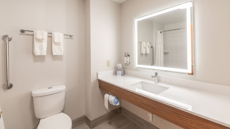 Holiday Inn Express Hotel & Suites Room