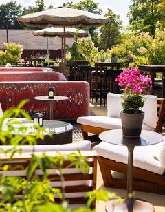 Berkshires Untold