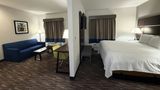 Atrium Hotel & Suites DFW Airport South Suite