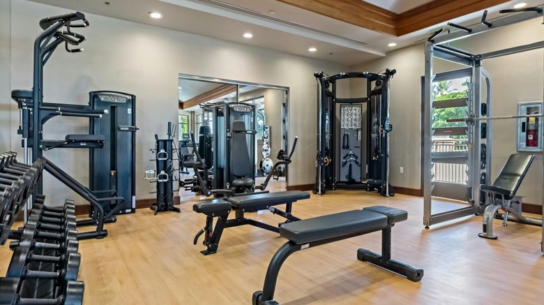 <b>Kaanapali Alii Health Club</b>. Images powered by <a href="https://www.leonardoworldwide.com/" title="Leonardo Worldwide" target="_blank">Leonardo</a>.