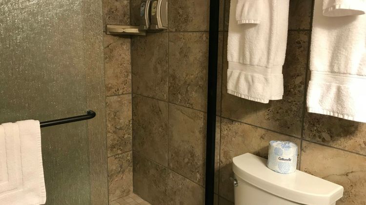 Dinosaur Inn & Suites Room