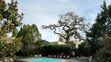 White House Napa Pool