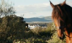 La Bobadilla, a Royal Hideaway Hotel