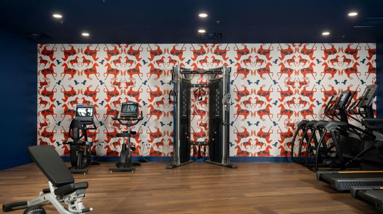 <b>Hotel Mockingbird Dallas Recreation</b>. Images powered by <a href="https://www.leonardoworldwide.com/" title="Leonardo Worldwide" target="_blank">Leonardo</a>.