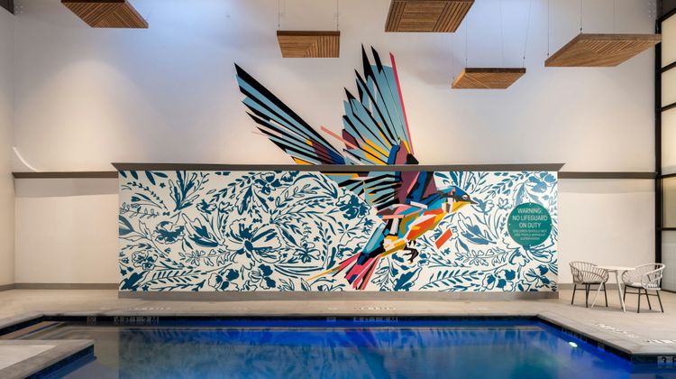 Hotel Mockingbird Dallas Pool