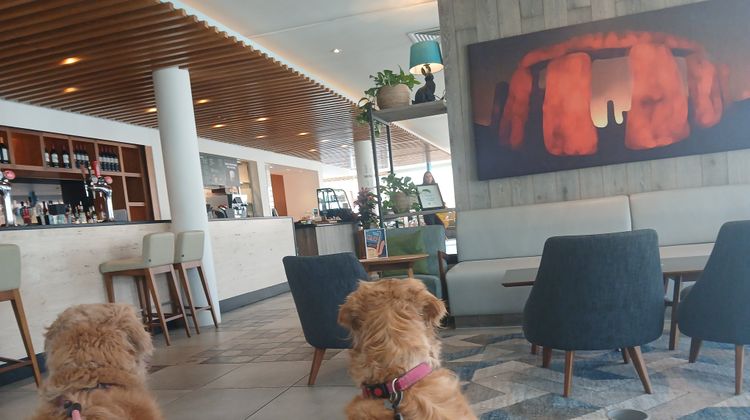 Holiday Inn Salisbury-Stonehenge Lobby
