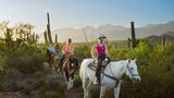 <b>Tanque Verde Ranch Recreation</b>. Images powered by <a href="https://www.leonardoworldwide.com/" title="Leonardo Worldwide" target="_blank">Leonardo</a>.