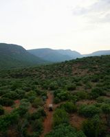 Few and Far Luvhondo