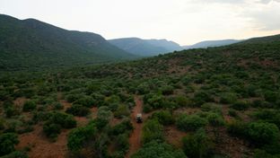 Few and Far Luvhondo