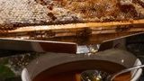 <b>Hotel Il Rivalta Firenze Restaurant</b>. Images powered by <a href="https://www.leonardoworldwide.com/" title="Leonardo Worldwide" target="_blank">Leonardo</a>.