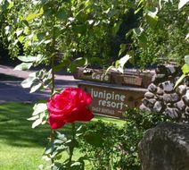Junipine Resort Exterior