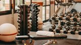Millennium Hotel Paris Charles de Gaulle Health Club