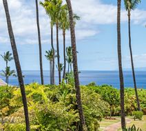 Wailea Ekolu Village Exterior