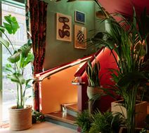 Second Nature Belfast Lobby