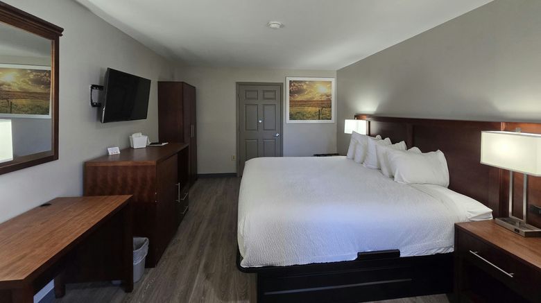 <b>OYO Hampton Room</b>. Images powered by <a href="https://www.leonardoworldwide.com/" title="Leonardo Worldwide" target="_blank">Leonardo</a>.