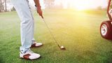 Alexis Inn & Suites Hotel Golf