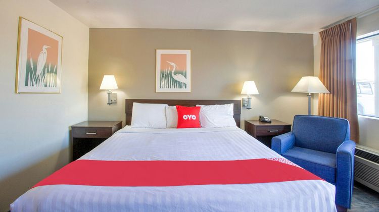 OYO Woodland Hotel and Suites Room
