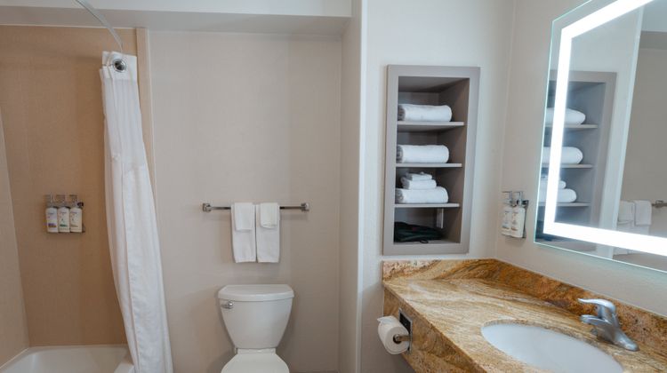 Holiday Inn Express Hotel & Suites Room