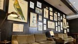 The Singular Lobby