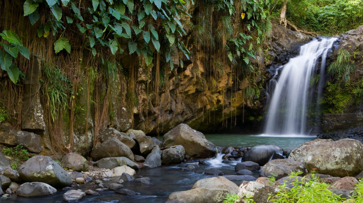 InterContinental Grenada - La Sagesse Other