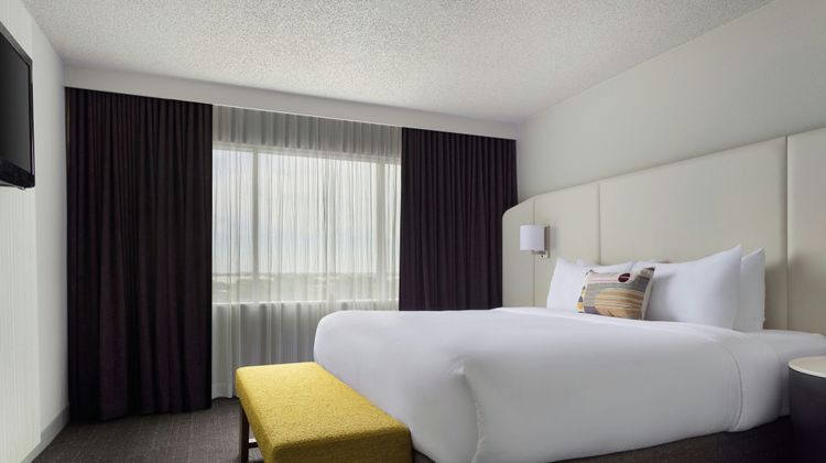 The Arlin Arlington Suite