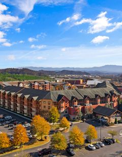 Wilderness at the Smokies
