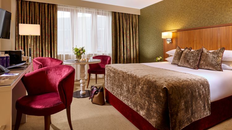 The Rose Hotel Room