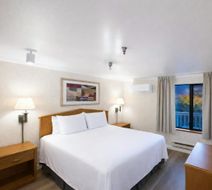 Friday Harbor Suites Room