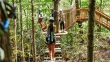 Blackberry Mountain Recreation