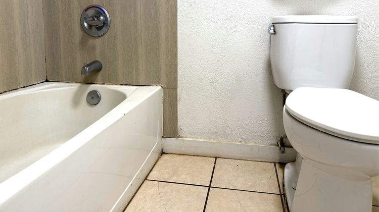 Trade Wind Motel Room