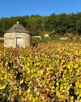 Domaine de Rymska