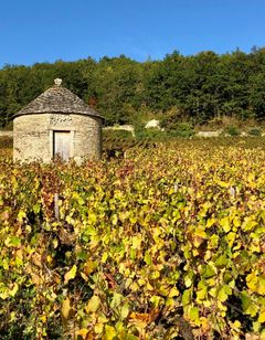 Domaine de Rymska