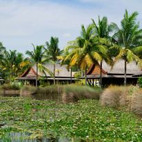 The Sanchaya