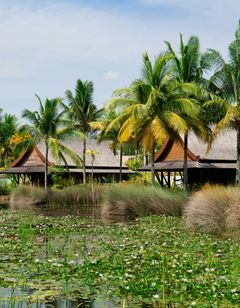 The Sanchaya
